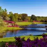 A beautiful spring garden landscape featuring vibrant pink flowers, a serene river, and a picturesque bridge.